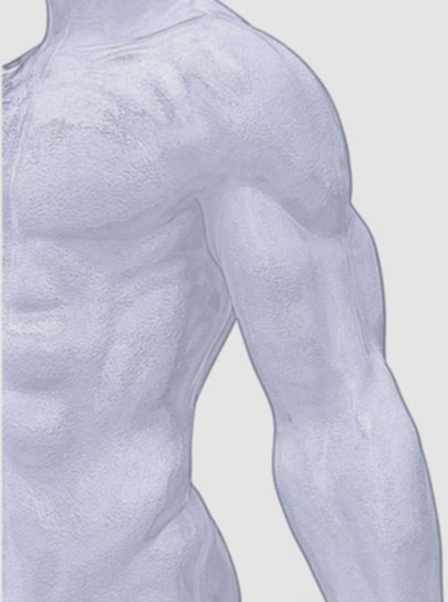 Index Body Build Blue